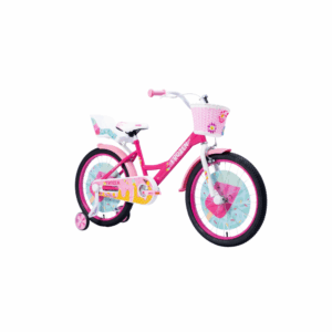 BICICAP000000022