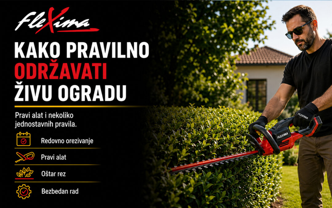 Kako pravilno održavati živu ogradu – pravi alat i nekoliko jednostavnih pravila